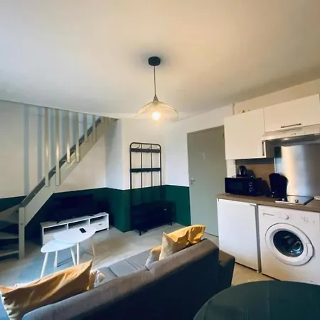 Joli Duplex - Centre - Анже