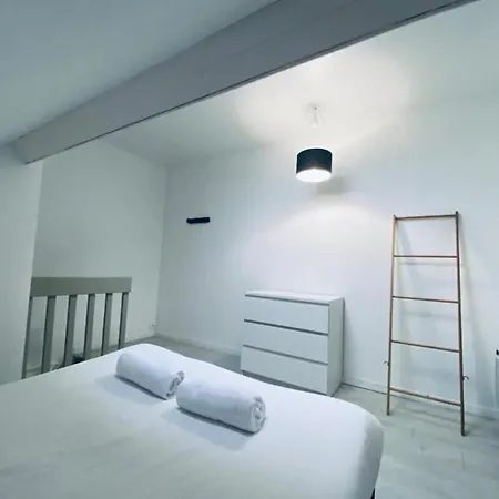 Joli Duplex - Centre - * Анже