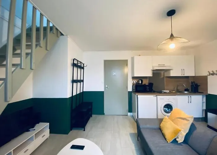 Joli Duplex - Centre - * Анже