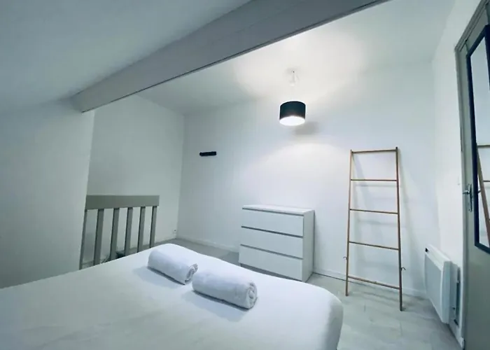 Joli Duplex - Centre - * Анже